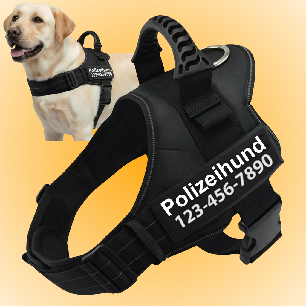 Personalized Anti-Pull Dog Harness | Adjustable & High-Quality | For Small & Large Dogs