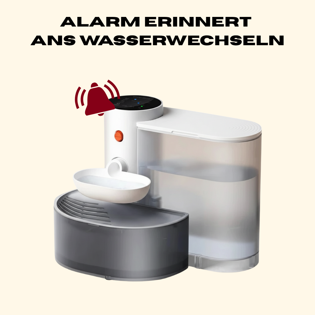 Water Fountain with Filter & Rechargeable Battery – Quiet & Hygienic