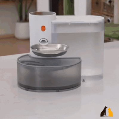 Water Fountain with Filter & Rechargeable Battery – Quiet & Hygienic