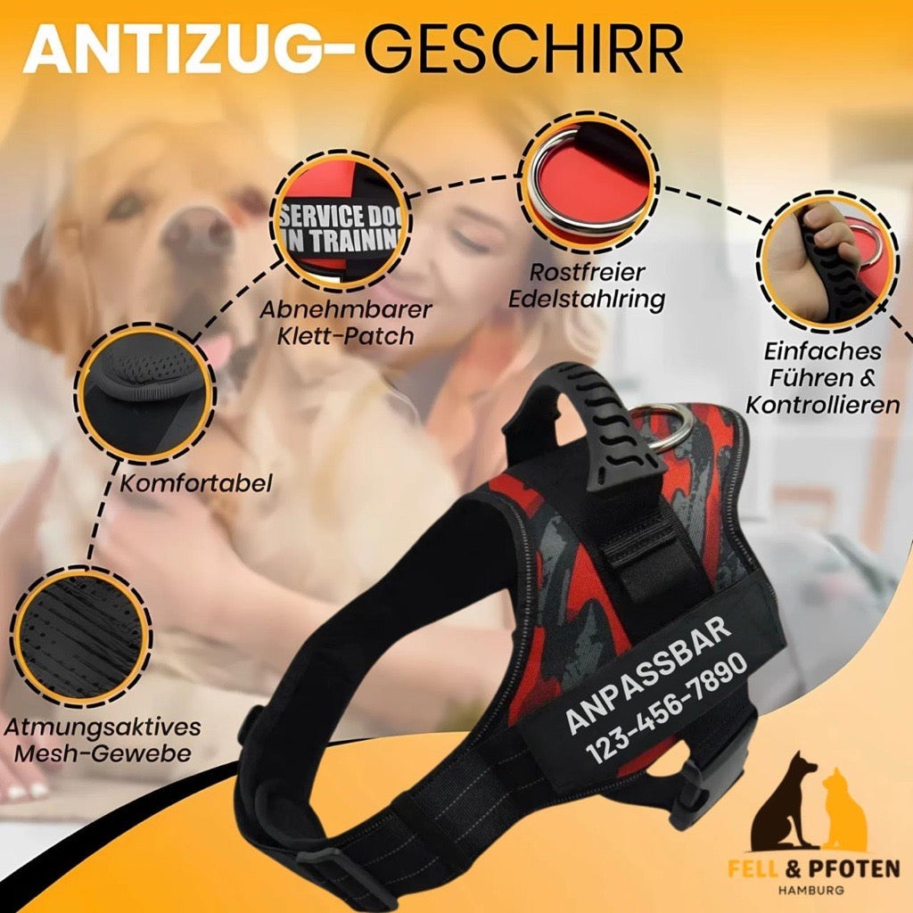 Personalized Anti-Pull Dog Harness | Adjustable & High-Quality | For Small & Large Dogs