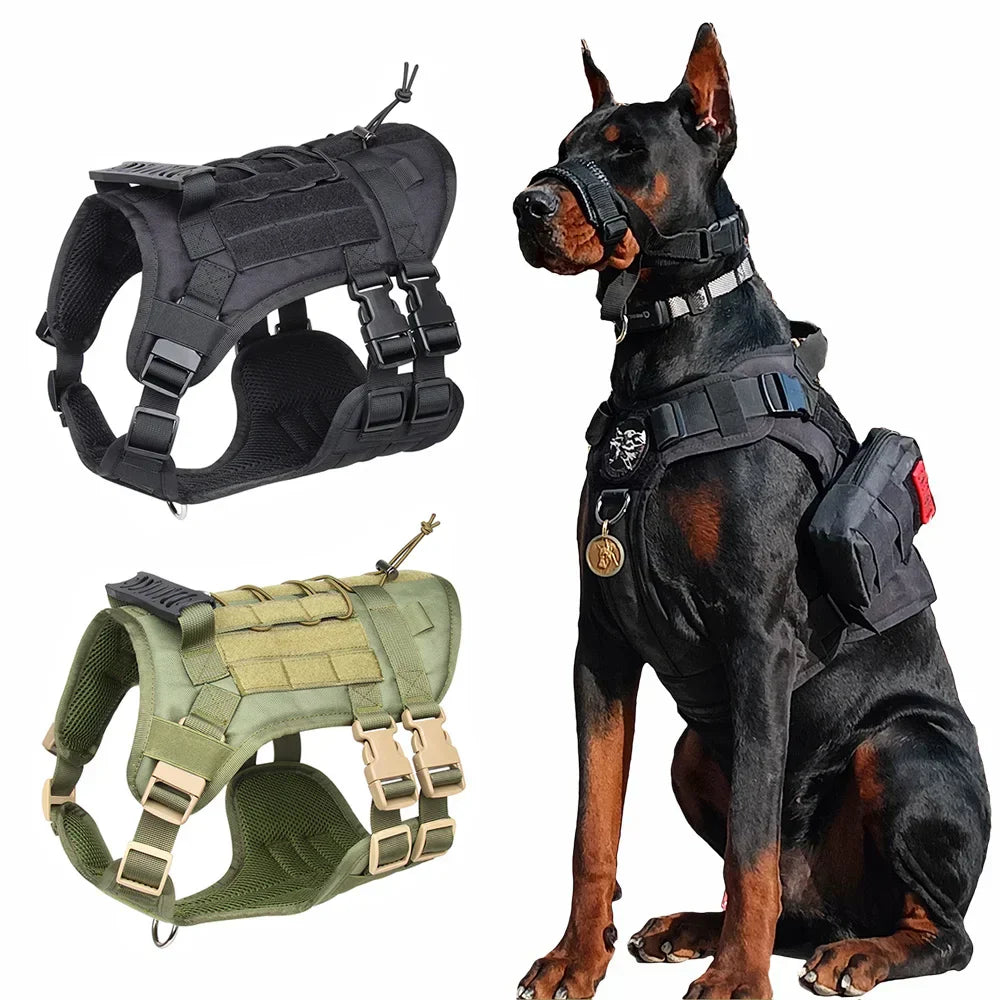 Tactical Training Vest/Harness Set