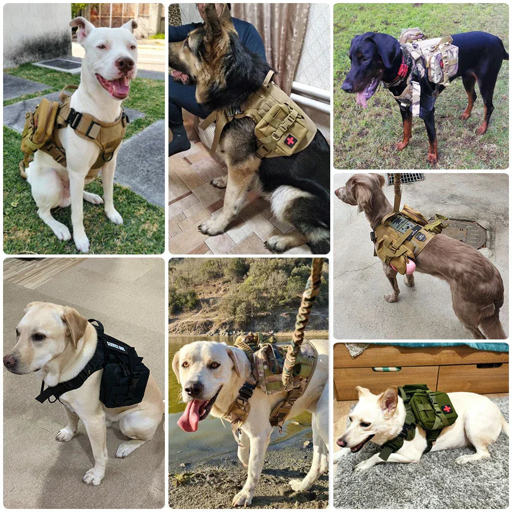 Dog Harness Set for Large Dogs – 6-Piece Training Vest