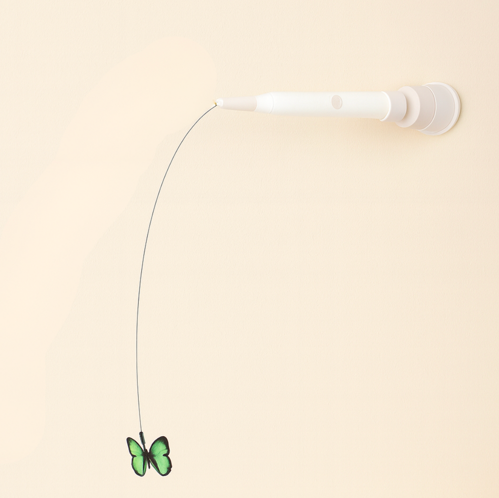 Endless Entertainment – Protect Your Furniture & Eliminate Boredom