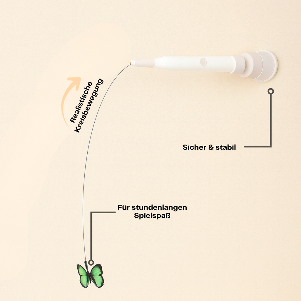 Endless Entertainment – Protect Your Furniture & Eliminate Boredom