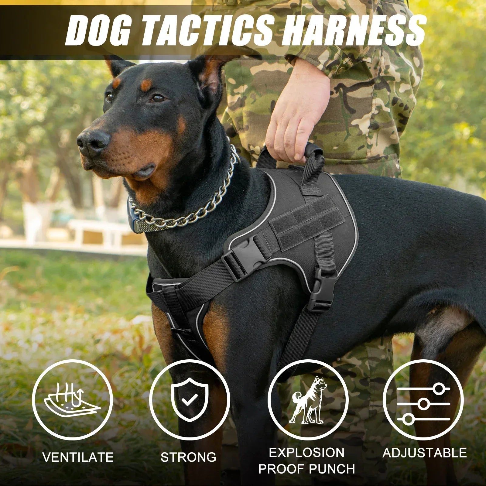 Tactical Dog Harness – Built for Strength, Comfort & Control